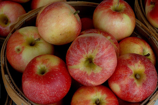 Head to Harriton House for an Apple Festival on October 15th