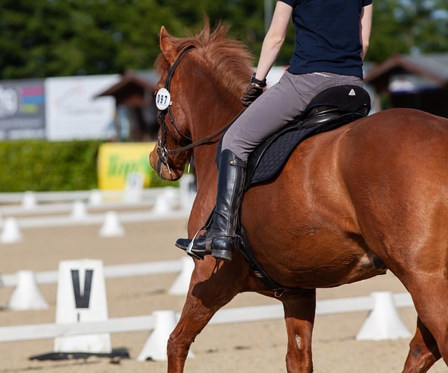 The Annual Devon Horse Show Returns May 23